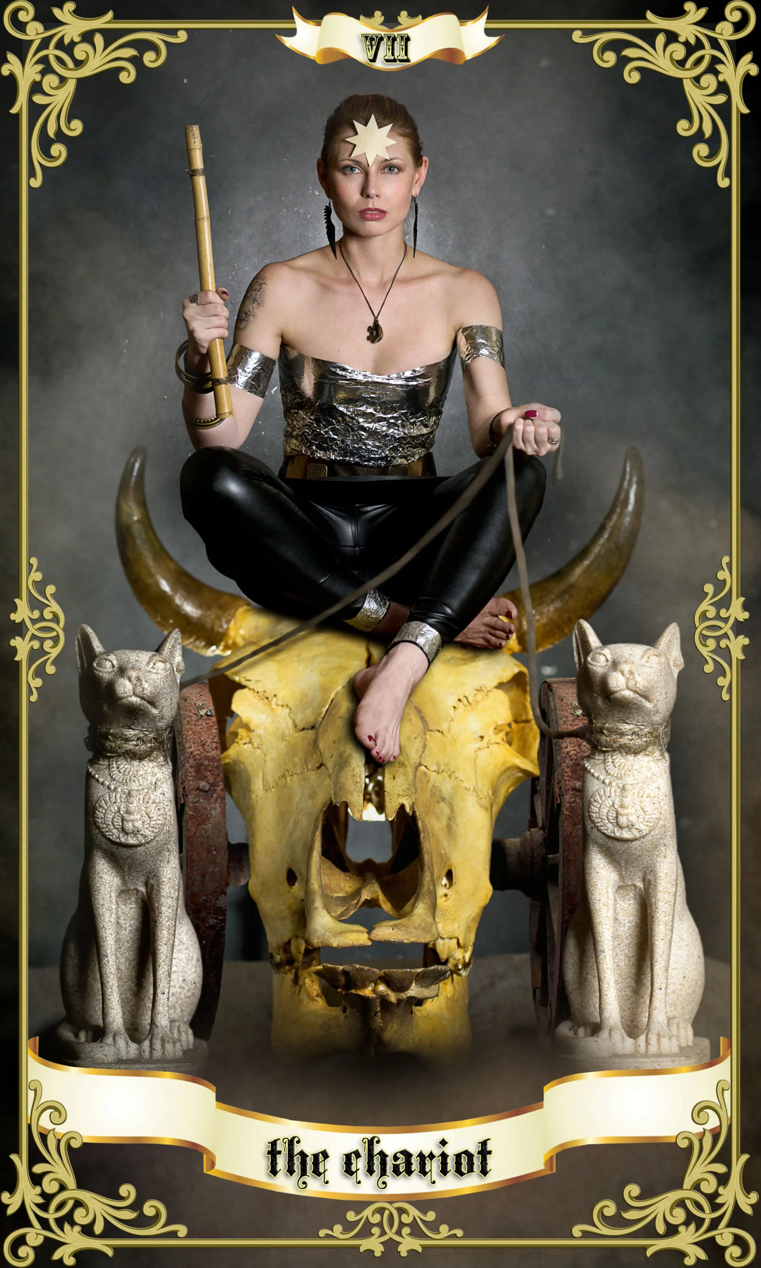 The Chariot Card