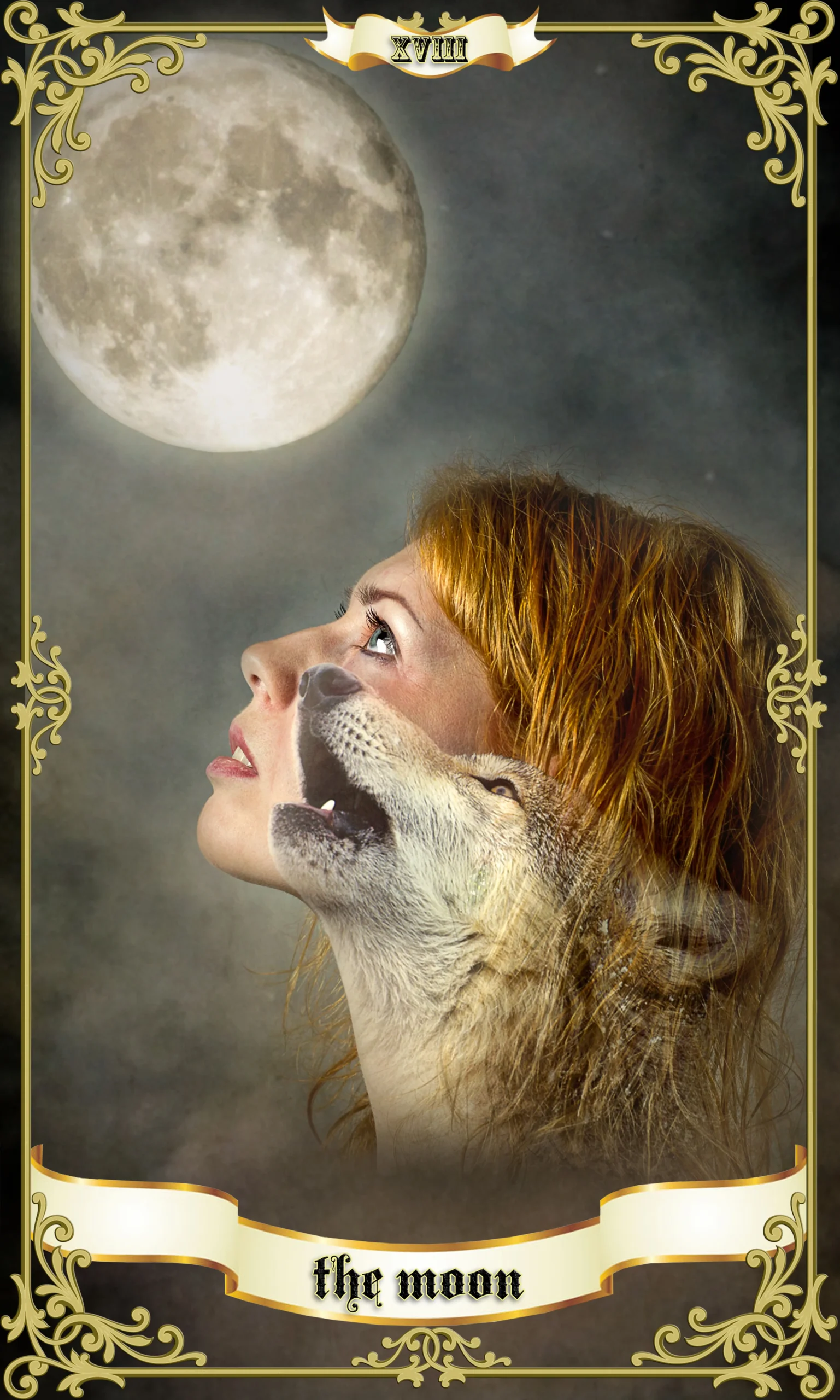 The moon card
